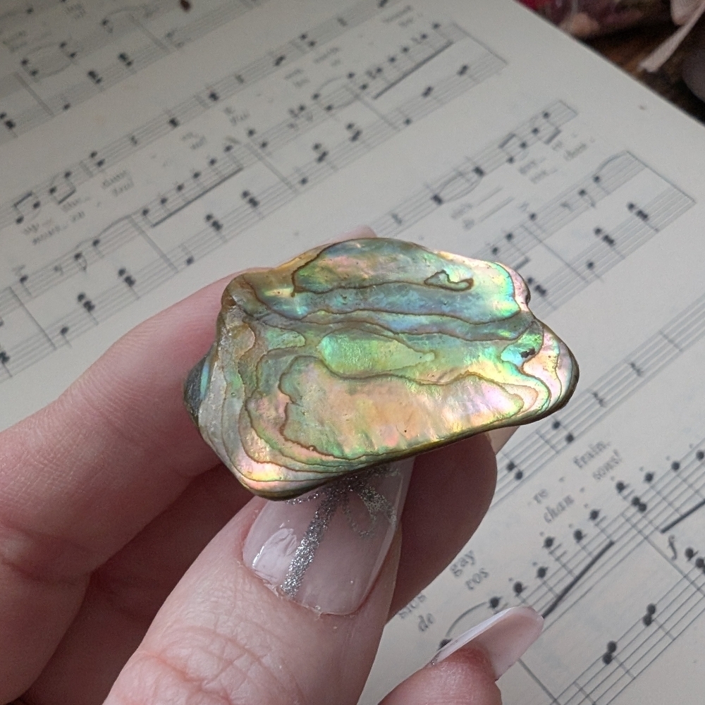 Iridescent Abalone Shell Brooch - Picture 3 of 11